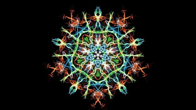 上海迪士尼为什么老是打架？